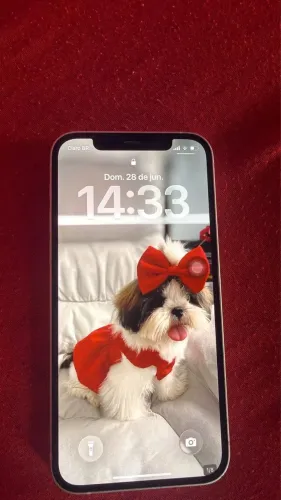 VENDE-se iPhone 12