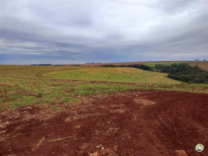 Fazenda  a Venda em Alto Alegre - MA / Leia a Descrição 