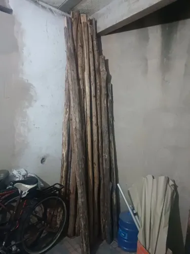 Escoras de eucalipto