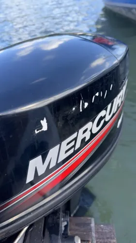 Mercury 15 Super - Seminovo