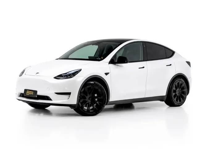 Tesla Model Y Performance 2021