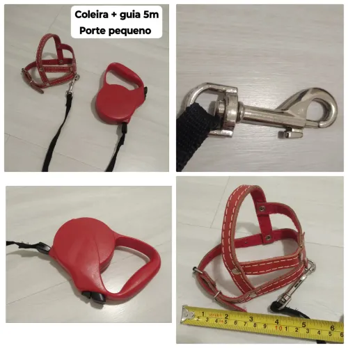 Coleira com guia porte pequeno