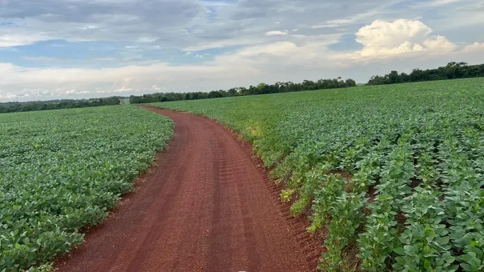 Fazenda a venda no Município de Santa Maria Tocantins!!!
