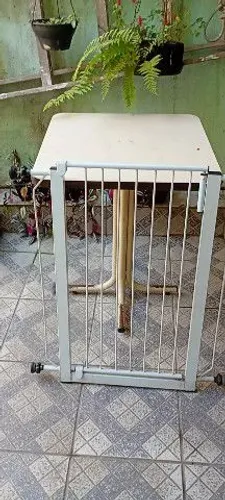 Portinhola separador de cães