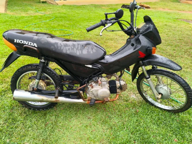 Pop 100 para roça