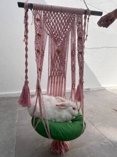 Suporte Cama Pet