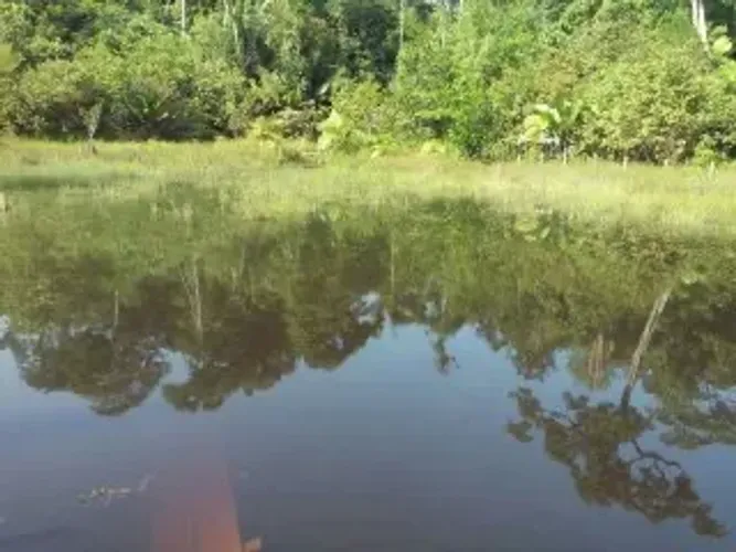 Vendo lindo sítio no Ramal da Felicidade/ Ramal do Pau Rosa