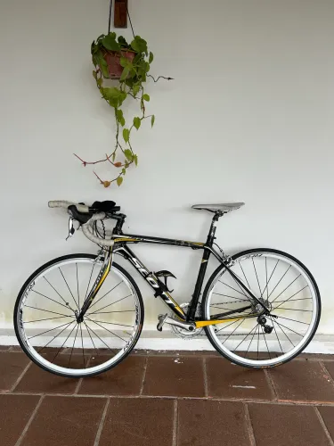 ? Bike Scott Speed Carbono - Shimano 105 - Tam. 49 