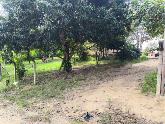 Vendo Sítio no Povoado Aningas. São Cristóvão próximo a Polícia Rodoviária Federal