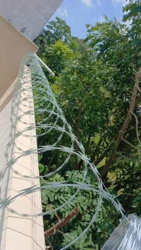 Cercas serpentinas simples e clipadas