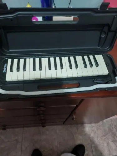 Escaleta dolphin