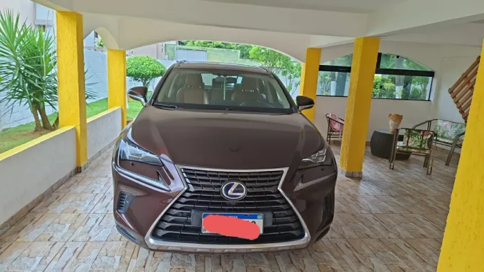 Lexus NX-300 H Luxury 2.5 16V Aut. 2019