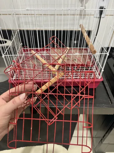 Gaiola para calopsita 