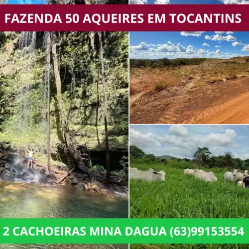 Fazenda, Terra, Lavoura, Platanção, Soja, Cana, Canavial, Cercada, Chacara, Chácara, Roça 