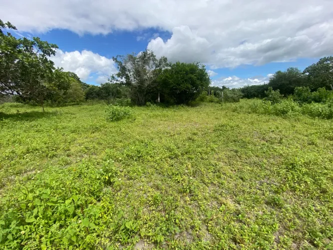 Localização privilegiada para venda 12 tarefas de terra fica na pedra Ferrada