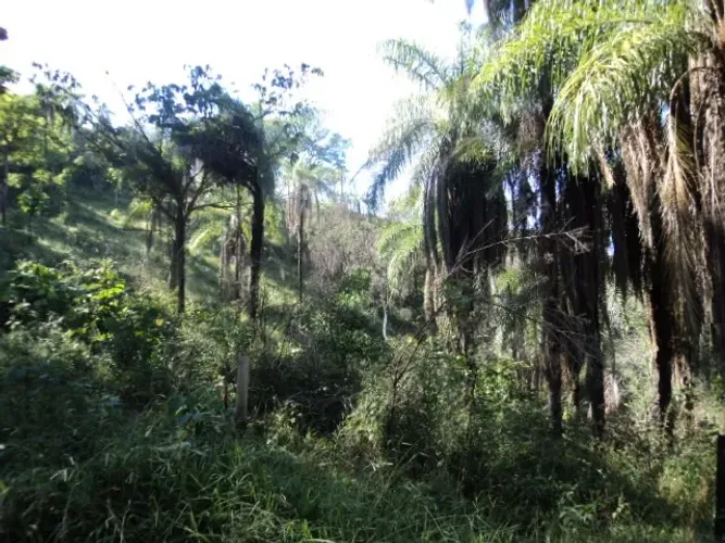 Mateus Leme - Terreno - 20.000 m² - Só R$ 20.000,00 de entrada