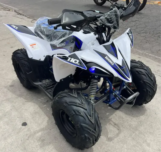 Quadriciclo Rhino 110 2026 zero km 