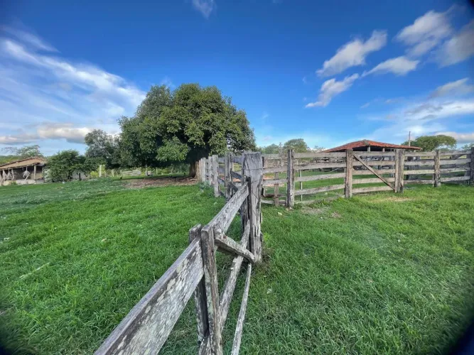 Fazenda em morro agudo