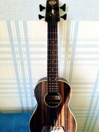 Ubass Kala EBY-FS