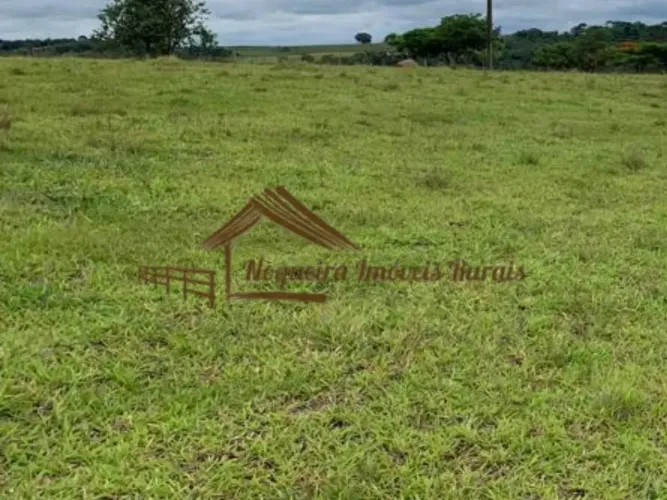 Fazenda com 137 alqueires em Garça-SP