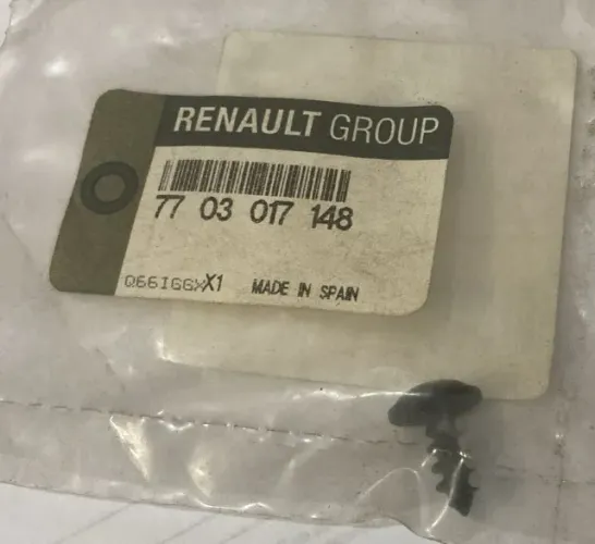 Parafuso Renault 77.03017148