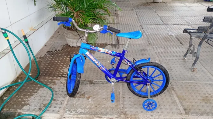 Bicicleta 