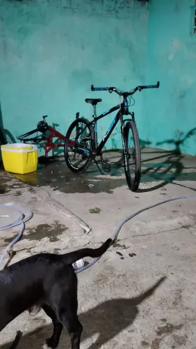 Bicicleta aro 29 