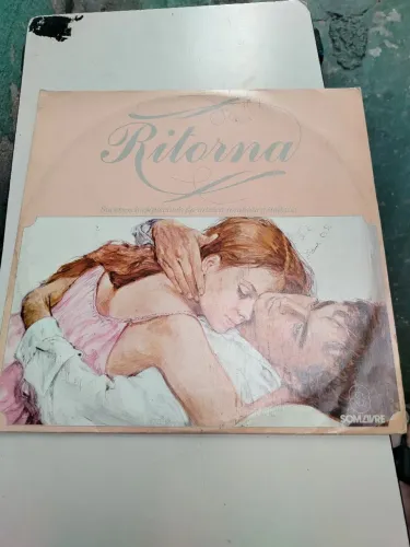 Disco vinil retorna