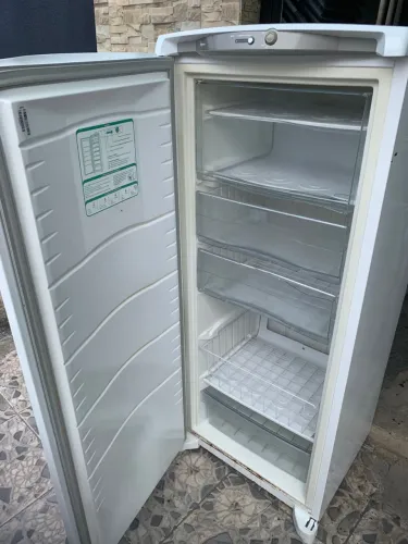 Freezer vertical