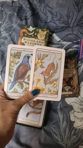 Oráculo / Tarot Woodland Wardens Original