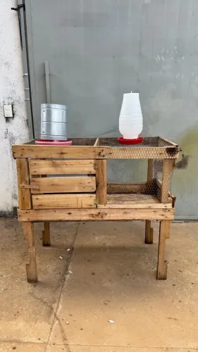 Mini Galinheiro de Madeira Elevado + Bebedouros ( para Pintinhos, Codornas ou Coelhos)