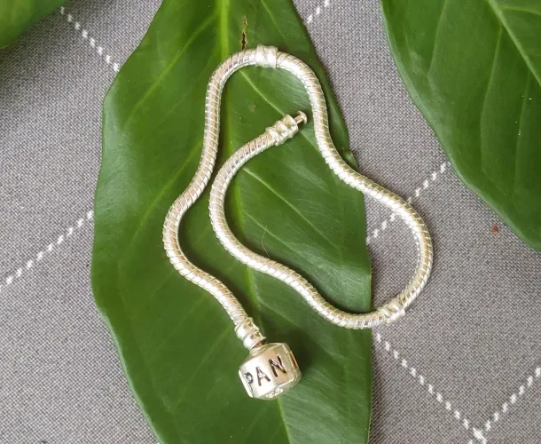 pulseira Pandora clássica em prata 925