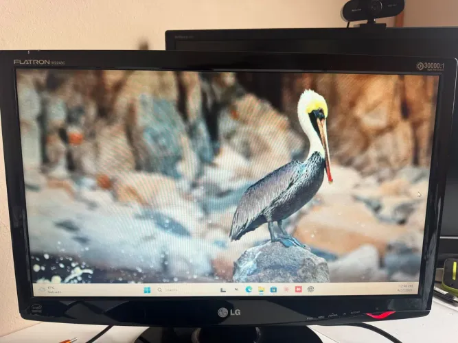 LG Monitor 22 pelogadas