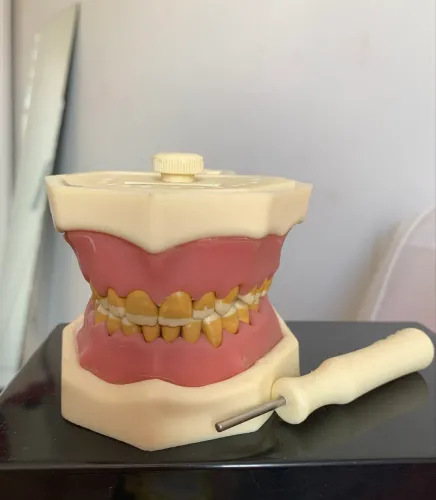 Vendo manequim de periodontia Orais. Nunca usado?