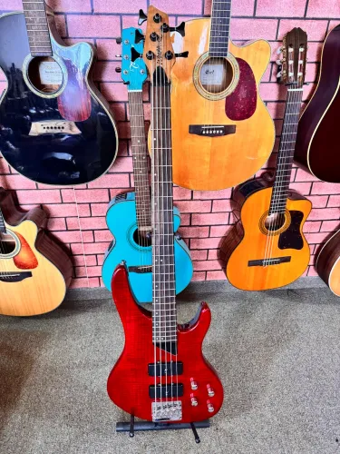 Baixo ativo Washburn 5 cordas regulado coreano ANALISO TROCAS