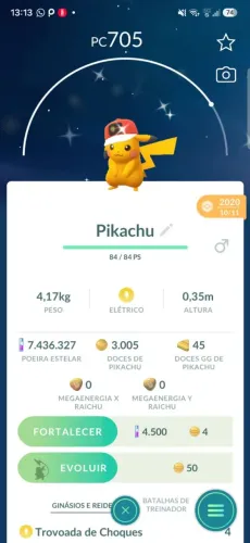 pikachu e raichu bone do ash shiny