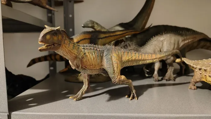 Carnotaurus Nanmu Studio 