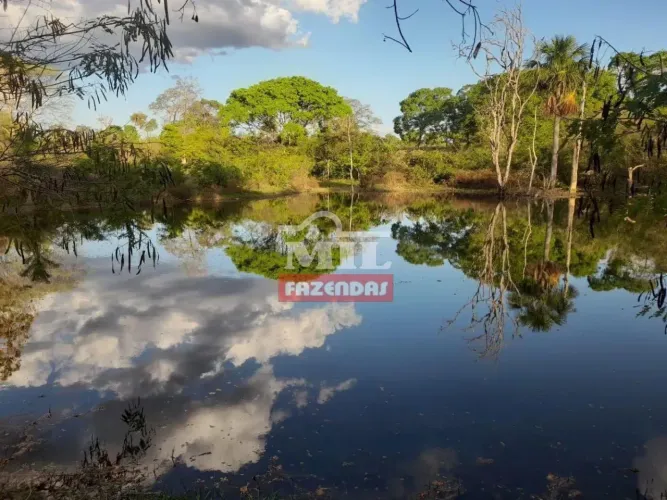 Fazenda 32 Alqueires (154,8 Hectares) Amaralina - GO