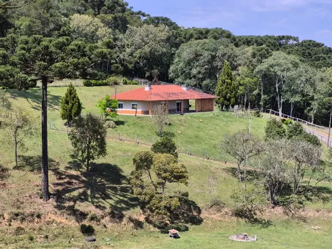 Sítio Venda c/ 12 alq. Muito Conforto, Natureza, Privacidade. Aceito troca sobrado Curitib