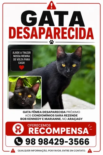 Procura-se GATA
