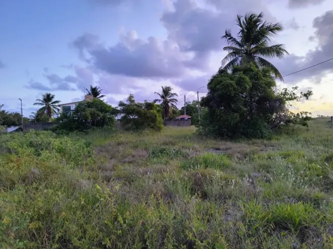 Terreno em Porto de Galinhas - Oportunidade única!!