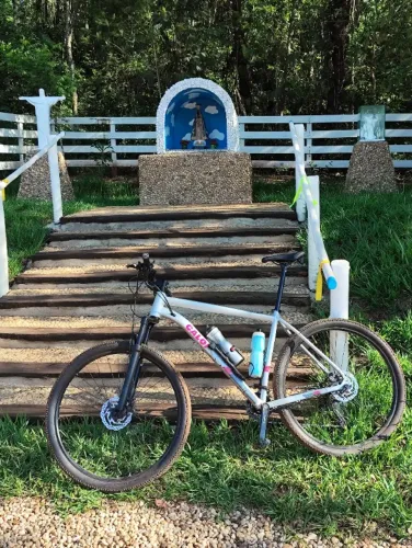 Bicicleta Mountain Bike aro 29