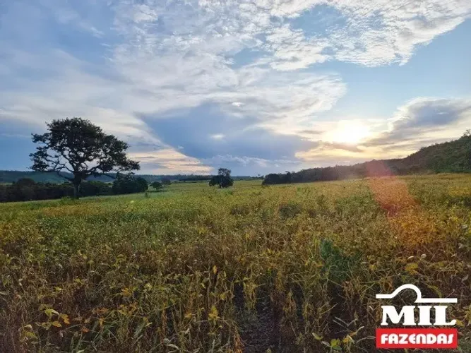 Fazenda em Alexânia-GO. . 24,5 Alq. (119 Há). em Soja.