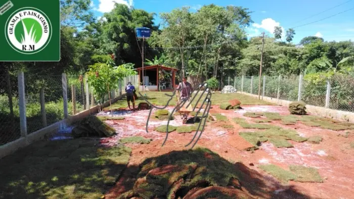 215 Metros de Grama Bermuda Jardim Perfeito