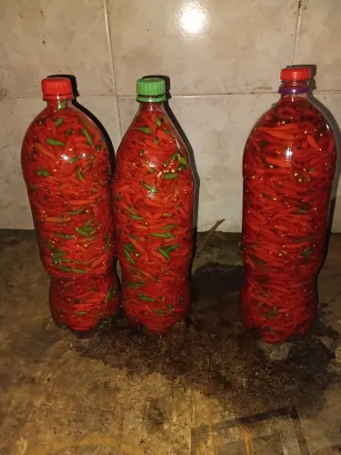 Pimentas malaguetas na salmoura 2 litros 50 reais