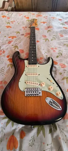 Guitarra Tagima TW Séries 
