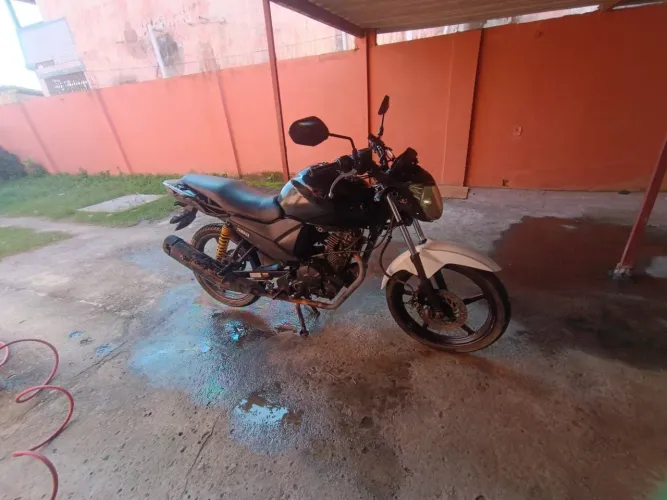 Fazer 2019 (leilão)