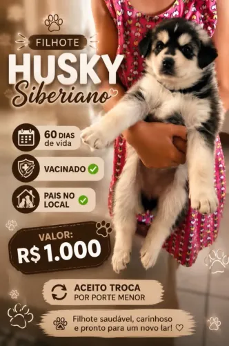 Vende-se filhote 