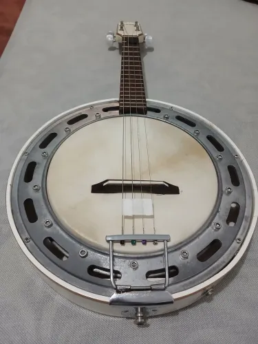 Banjo rozini caixa fina ,captado muito bom ,modelo antigo