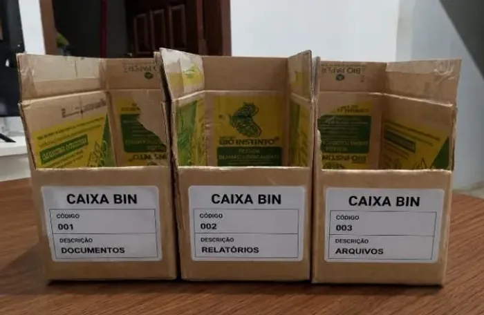 CAIXA BIN ORGANIZADORA 